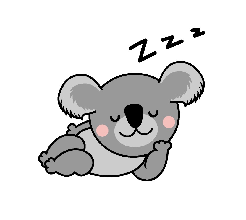 コアラ　睡眠